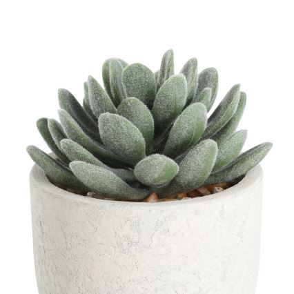 Eglo - Veštačka biljka u saksiji 11x8 cm, sukulent