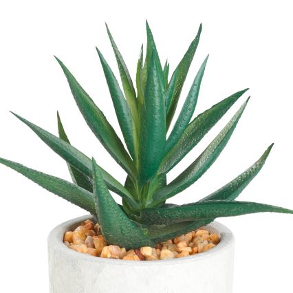 Eglo - Veštačka biljka u saksiji 15,5x10 cm sukulent