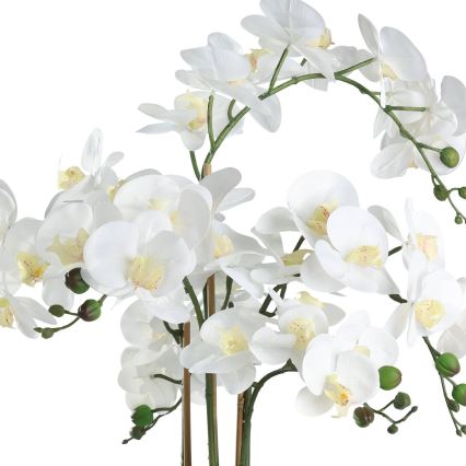 Eglo - Veštačka orhideja u saksiji, 65x50 cm