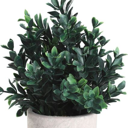 Eglo - Veštačka biljka u saksiji 23x18 cm