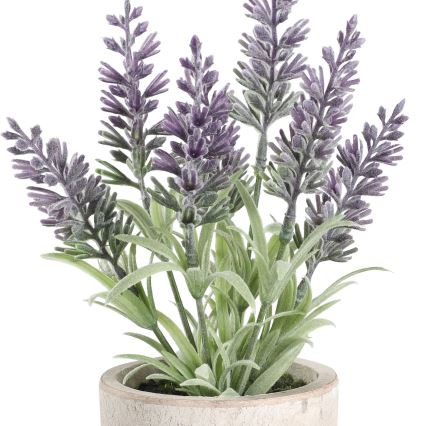 Eglo - Veštačka lavanda u saksiji 22x8 cm