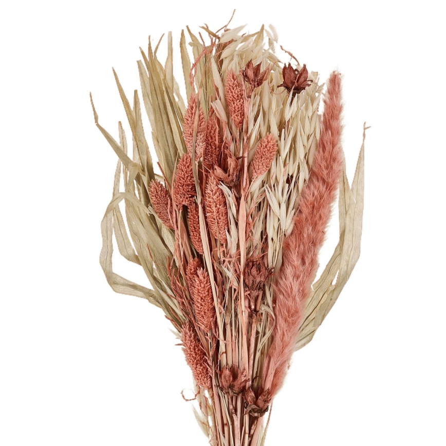 Eglo - Sušeno cveće 60 cm narandžasto