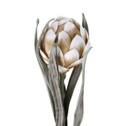 Eglo - Veštački cvet 60 cm bež