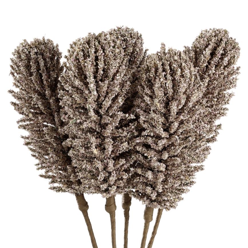 Eglo - Veštačko cveće 30 cm, bež