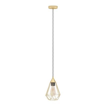 Eglo - Luster na sajli 1xE27/60W/230V preč. 17,5 cm