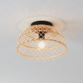 Eglo 43831 - Plafonsko svetlo AUSNBY 1xE27/40W/230V