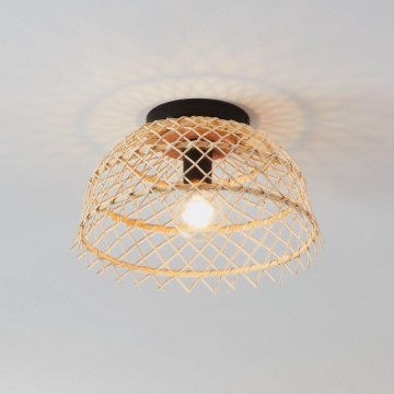 Eglo 43831 - Plafonsko svetlo AUSNBY 1xE27/40W/230V
