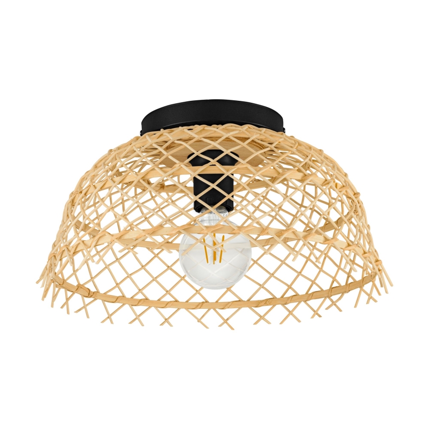 Eglo 43831 - Plafonsko svetlo AUSNBY 1xE27/40W/230V
