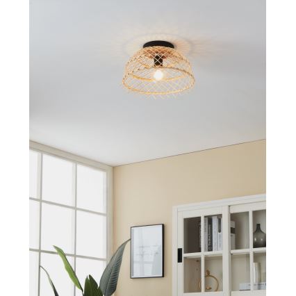 Eglo 43831 - Plafonsko svetlo AUSNBY 1xE27/40W/230V