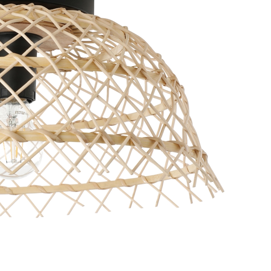 Eglo 43831 - Plafonsko svetlo AUSNBY 1xE27/40W/230V