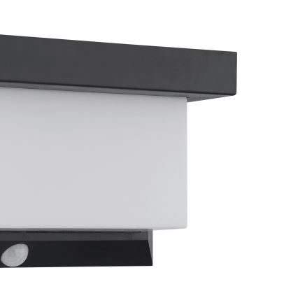 Eglo - LED solarno zidno svetlo sa senzorom LED/3,84W/3,7V 2000 mAh IP44