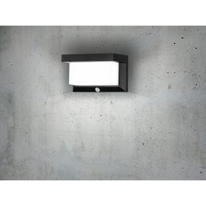 Eglo - LED solarno zidno svetlo sa senzorom LED/3,84W/3,7V 2000 mAh IP44