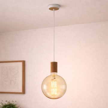 Eglo 49071 - Luster na sajli TAVISTOCK 1xE27/40W/230V