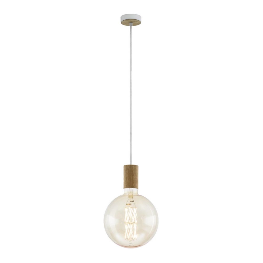 Eglo 49071 - Luster na sajli TAVISTOCK 1xE27/40W/230V