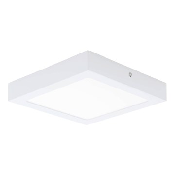 Eglo 64717 - LED plafonsko svetlo FUEVA PRO LED/19W/230V 3000K 22,5x22,5 cm bela