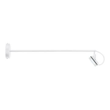 Eglo 66332 - LED spoljašnje zidno svetlo LIMIDARIO LED/30W/230V 3000K IP44 belo