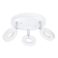 Eglo 75203 - LED spot svetiljka ODERZO 3xLED/3,8W/230V