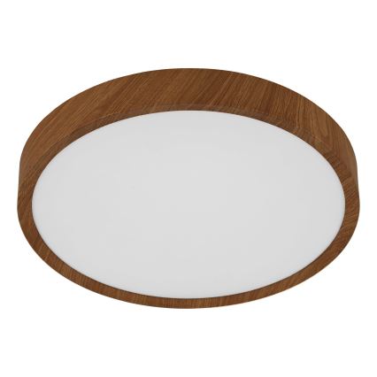 Eglo - LED plafonsko svetlo LED/14,6W/230V