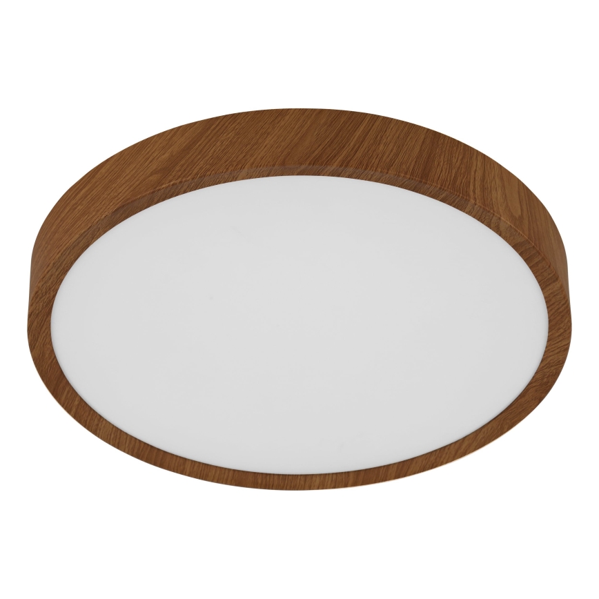 Eglo - LED plafonsko svetlo LED/14,6W/230V
