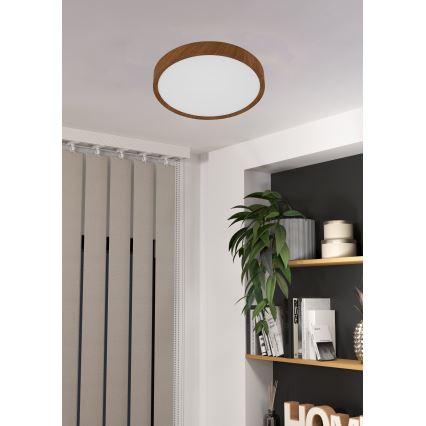 Eglo - LED plafonsko svetlo LED/14,6W/230V
