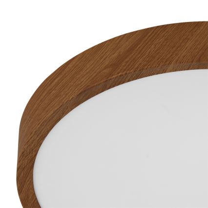 Eglo - LED plafonsko svetlo LED/14,6W/230V