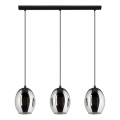 Eglo 780481 - Luster na sajli CADAQUES 3xE27/40W/230V crna/zadimljena