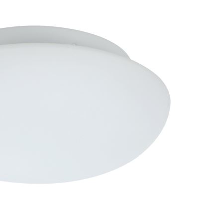 Eglo - Plafonska svetiljka 1xE27/60W/230V
