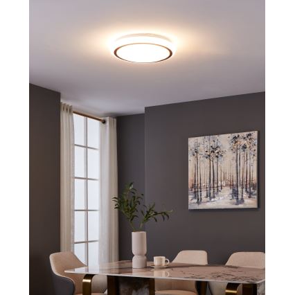 Eglo - LED plafonsko svetlo LED/14,6W/230V