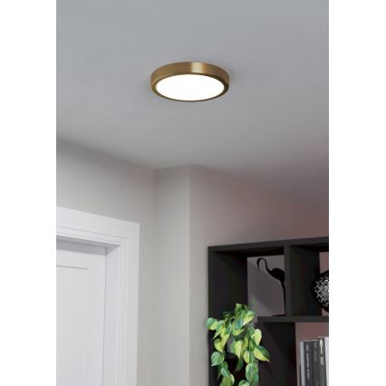 Eglo - LED plafonsko svetlo LED/17W/230V prečnik 21 cm prečnik 21 cm