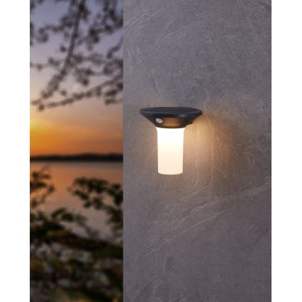 Eglo - LED solarno spoljašnje svetlo sa senzorom 6xLED/0,03W/3,7V IP44