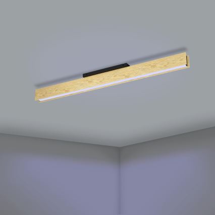 Eglo - LED RGBW prigušiva stropna svetiljka LED/35W/230V 2700-6500K