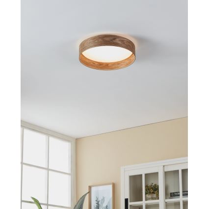 Eglo - LED plafonsko svetlo LED/24W/230V