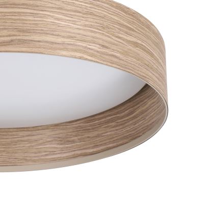 Eglo - LED plafonsko svetlo LED/24W/230V