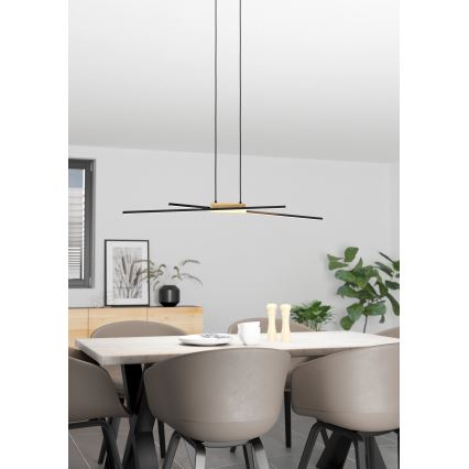 Eglo - LED luster na sajli, prigušiva, 2xLED/13W/230V