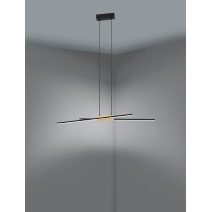 Eglo - LED luster na sajli, prigušiva, 2xLED/13W/230V