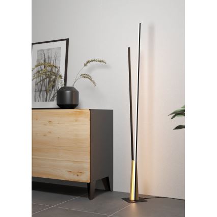 Eglo - LED podna lampa LED/24W/230V