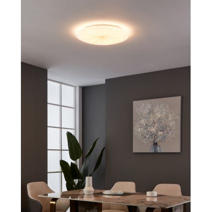 Eglo - LED stropno svetlo LED/30,8W/230V