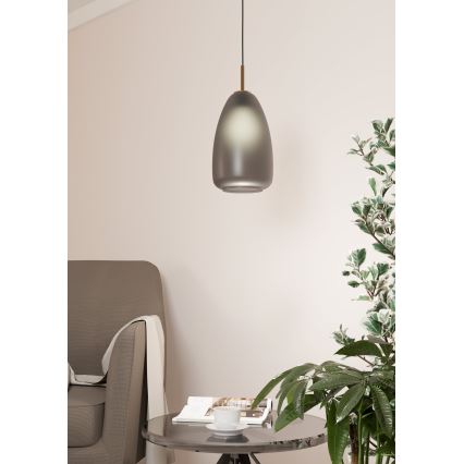 Eglo - Viseći luster na sajli 1xE27/40W/230V