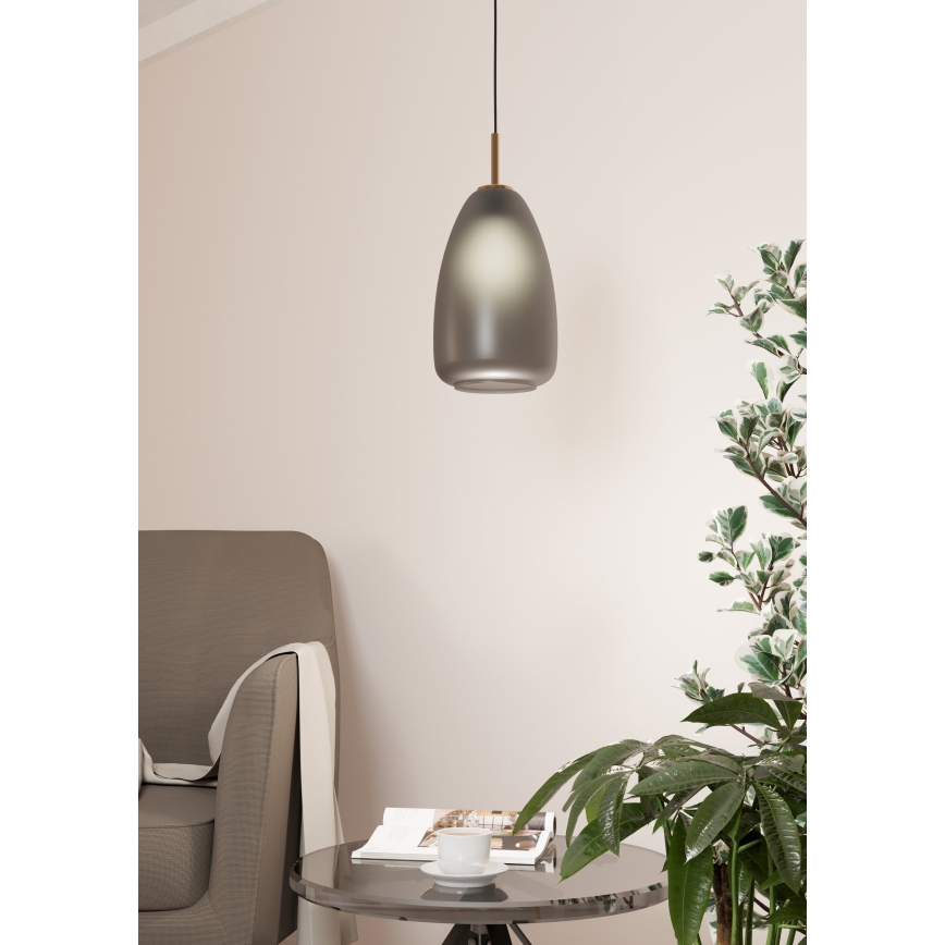 Eglo - Viseći luster na sajli 1xE27/40W/230V