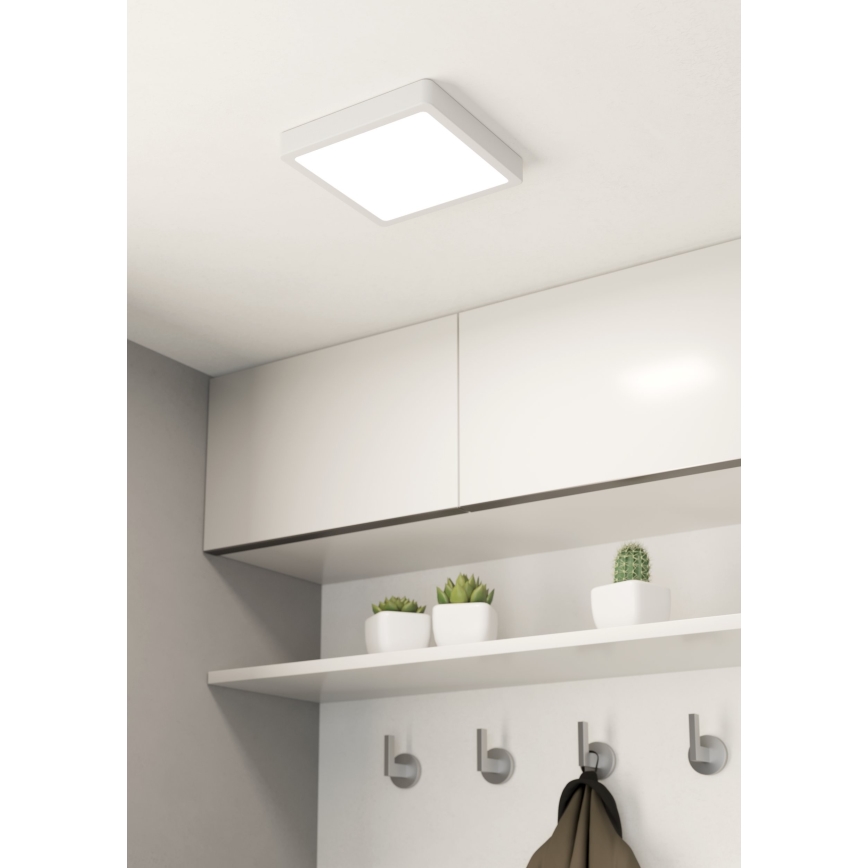 Eglo - LED plafonsko svetlo za kupatilo LED/17W/230V IP44 belo 21x21 cm