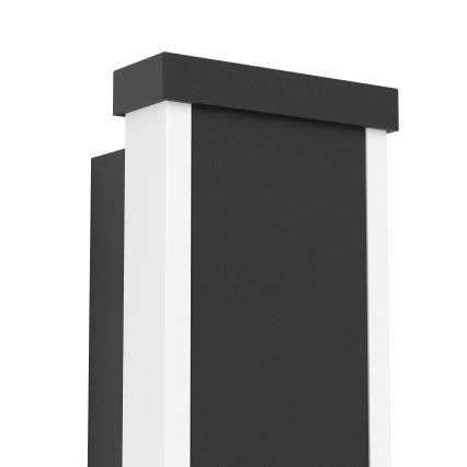 Eglo - LED spoljno zidno svetlo 2xLED/3,7W/230V 3000K IP55