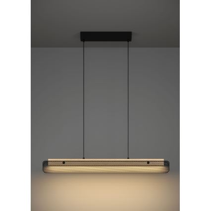 Eglo - LED RGBW luster na sajli, prigušiva, LED/34W/230V 2700-6500K