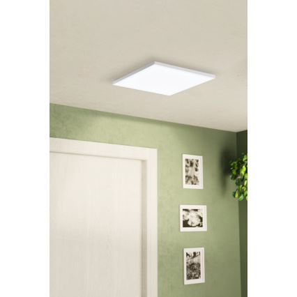 Eglo - LED plafonsko svetlo LED/10,8W/230V