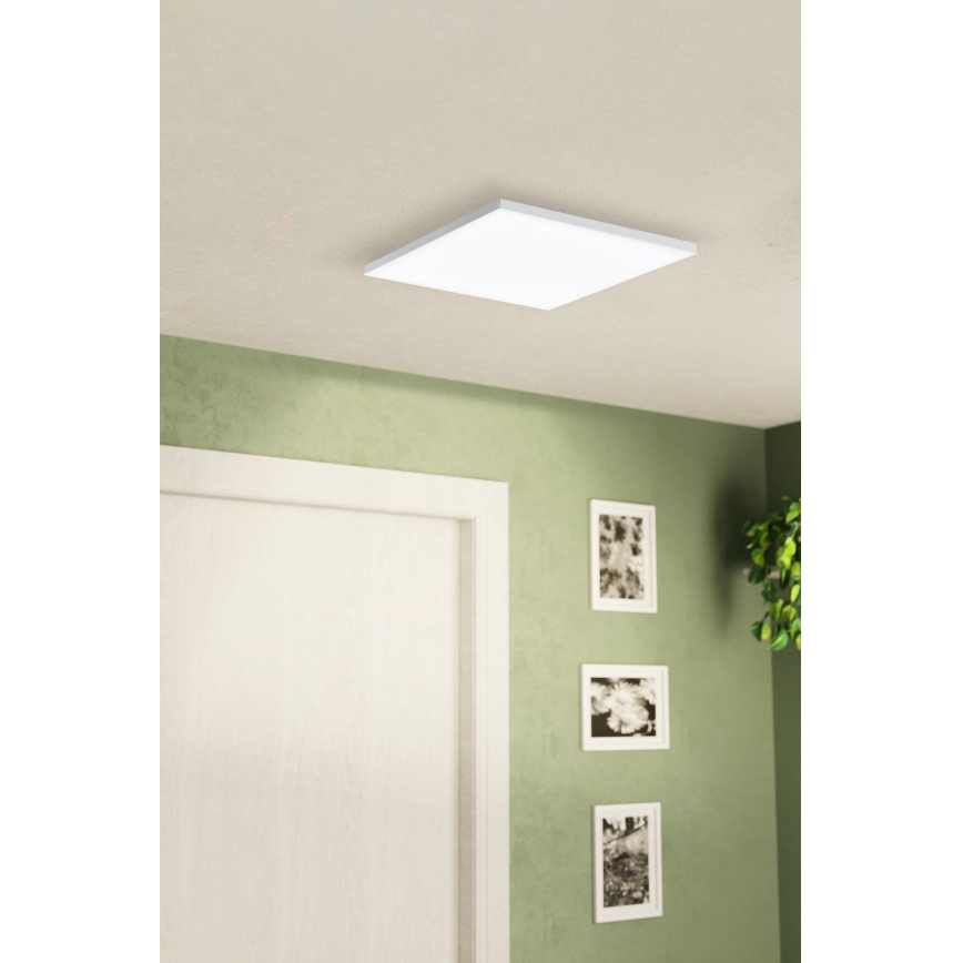 Eglo - LED plafonsko svetlo LED/10,8W/230V