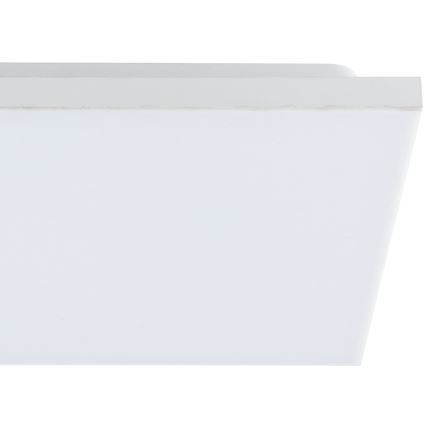 Eglo - LED plafonsko svetlo LED/10,8W/230V