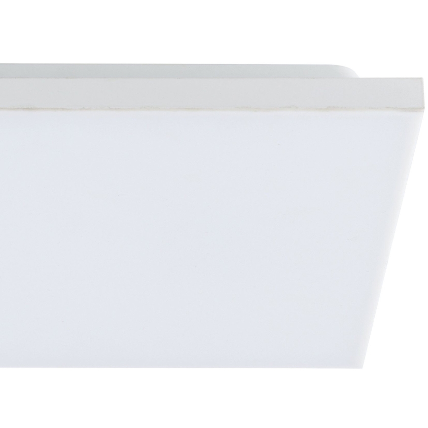 Eglo - LED plafonsko svetlo LED/10,8W/230V