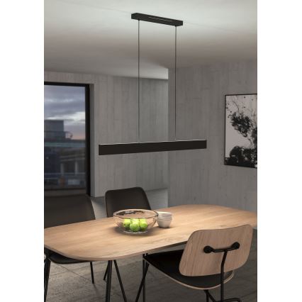 Eglo - LED RGBW prigušiva luster na sajli LED/38W/230V 2700-6500K crna