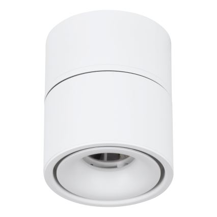 Eglo - LED spot svetlo LED/8W/230V 3000K belo