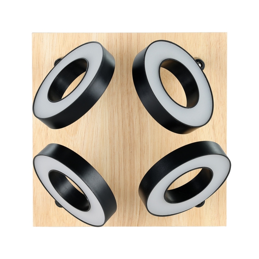 Eglo - LED spot svetiljka 4xLED/4,2W/230V crna/smeđa