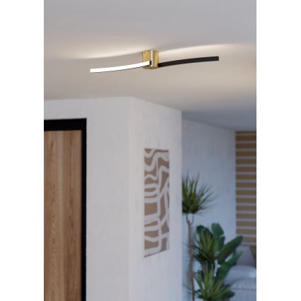 Eglo - LED plafonsko svetlo LED/12W/230V 4000K crno
